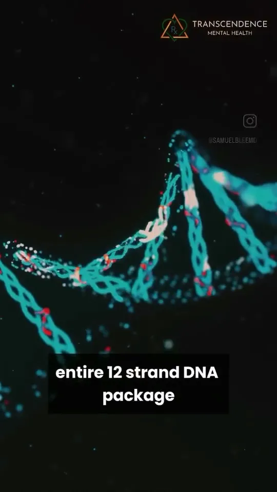 12 Strand DNA