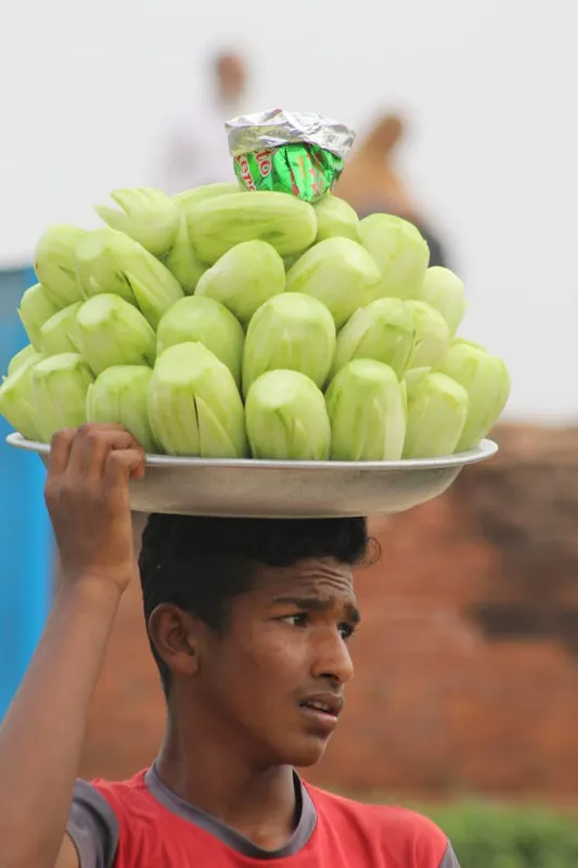 Bangladesh-Boy-Selling-Fresh-Cucumber