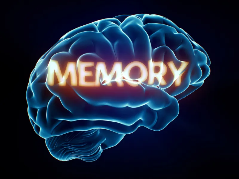 Memory Loss